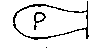 A curvilinear shape with a capital "P" inside representing a permanent impoundment.