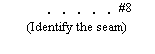 A series of black dots arranged in a horizontal line. The number "#8" appears to the right of the dots, and below the line of dots is the text "(Identify the seam)" enclosed in parentheses.