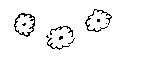 A simple line drawing showingthree stylized representations of deciduous trees or shrubsviewed from above (plan view). Each drawing has an irregular, cloud-like perimeter and a small solid circle in the center representing the trunk or base.
