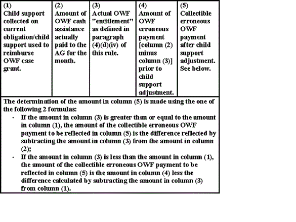 (1) Child support collected on current obligation/child support used to reimburse OWF case grant. (2) Amount of OWF cash assistance actually paid to the AG for the month. (3) Actual OWF "entitlement" as defined in paragraph (4)(d)(iv) of this rule. (4) Amount of OWF erroneous payment ({column (2) minus column (3)} prior to child support adjustment. (5) Collectible erroneous OWF payment after child support adjustment. The determination of the amount in column (5) is made using one of the following 2 formulas: If the amount in column (3) is greater than or equal to the amount in column (1), the amount of the collectible erroneous OWF payment to be reflected in column (5) is the difference reflected by subtracting the amount in column (3) from the amount in column (2); If the amount in column (3) is less than the amount in column (1), the amount of the collectible erroneous OWF Payment to be reflected in column (5) in the amount in column (4) less the difference calculated by subtracting the amount in column (3) from column (1).